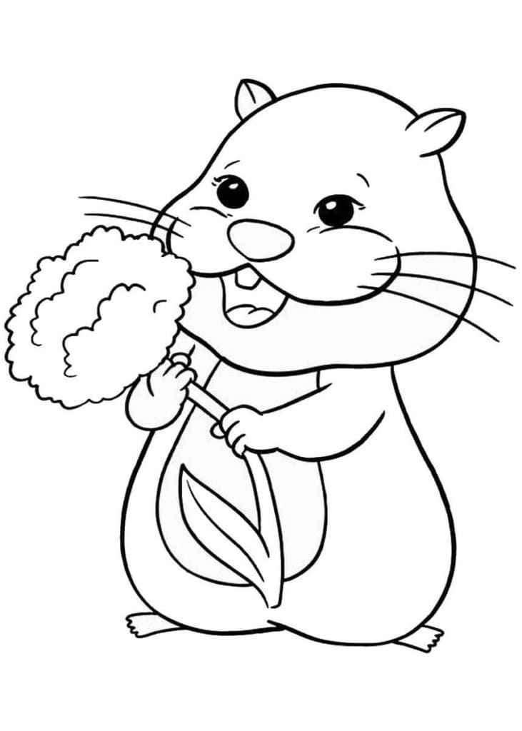 Free printable Hamster coloring page #188804 from Animals collection