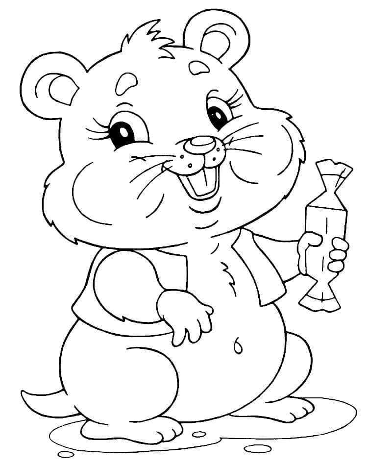 Free printable Hamster coloring page #188808 from Animals collection Free printable Hamster coloring page #188808 from Animals collection