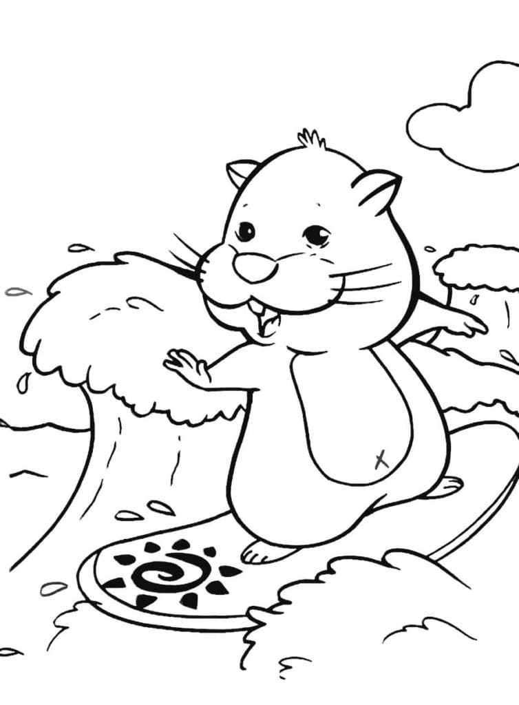Free printable Hamster coloring page #188812 from Animals collection