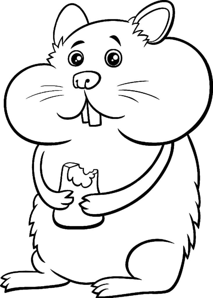 Free printable Hamster coloring page #188817 from Animals collection