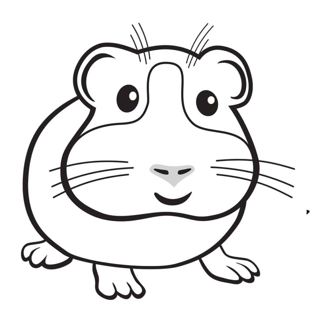 Free printable Hamster coloring page #188833 from Animals collection