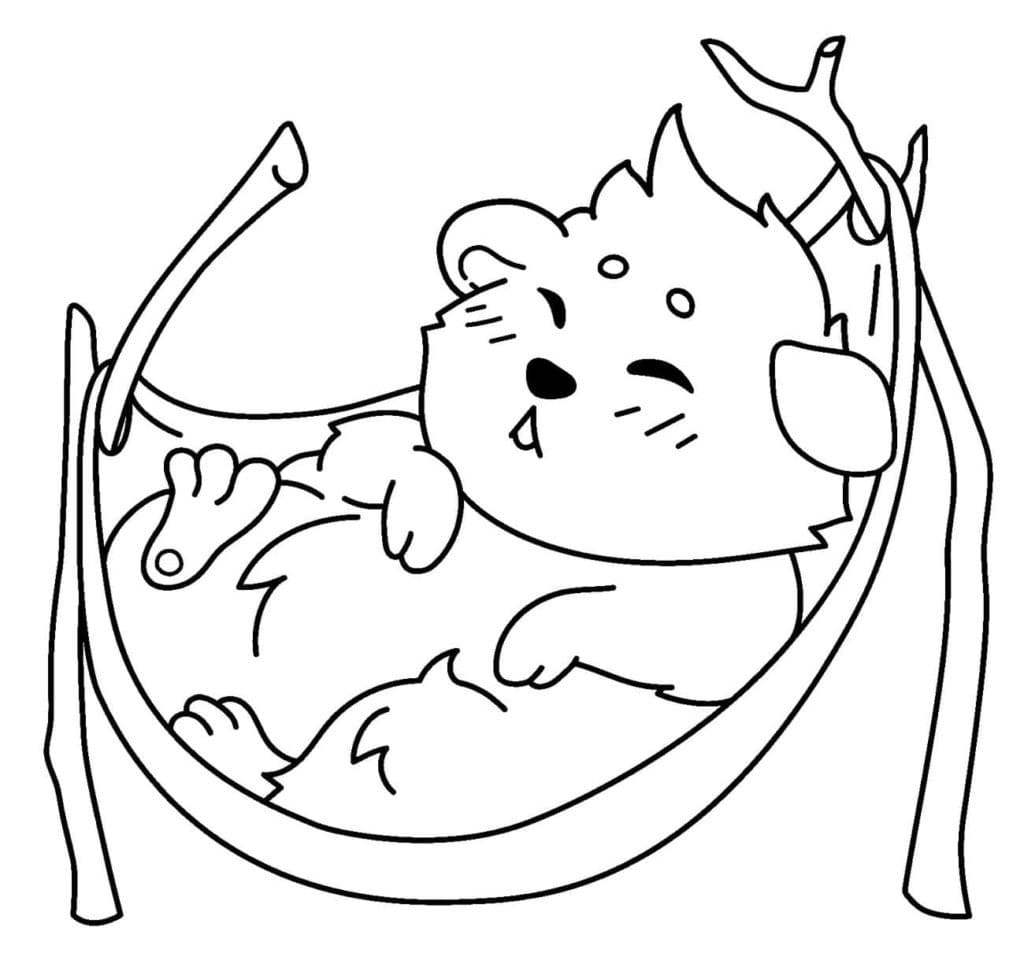 Free printable Hamster coloring page #188835 from Animals collection