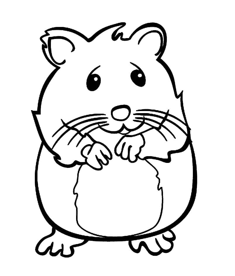 Free printable Hamster coloring page #188836 from Animals collection