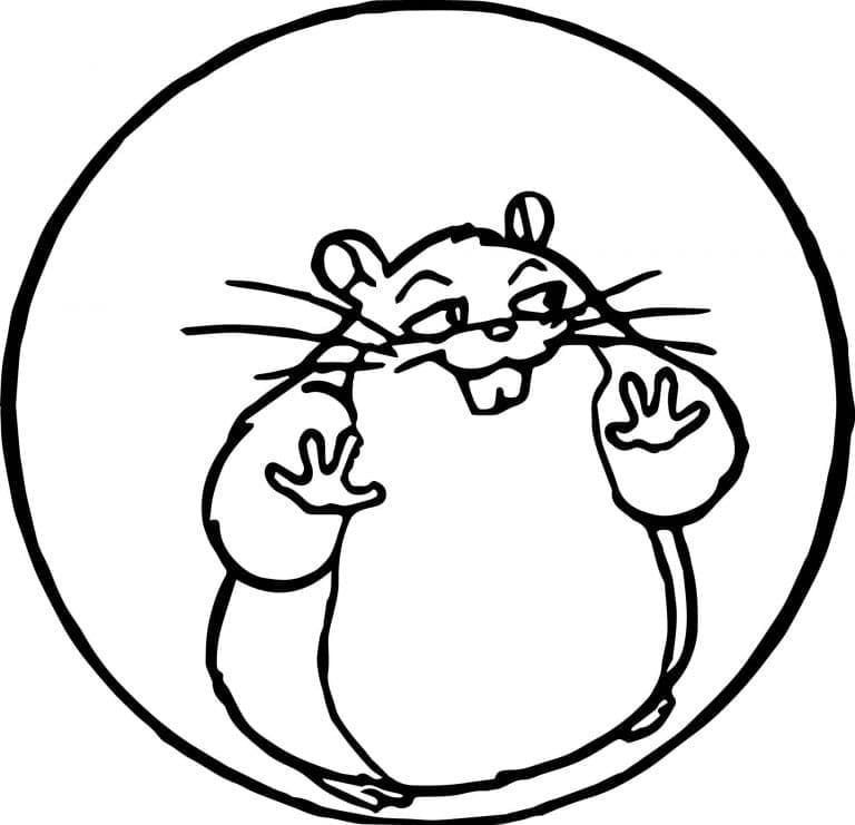 Free printable Hamster coloring page #188837 from Animals collection
