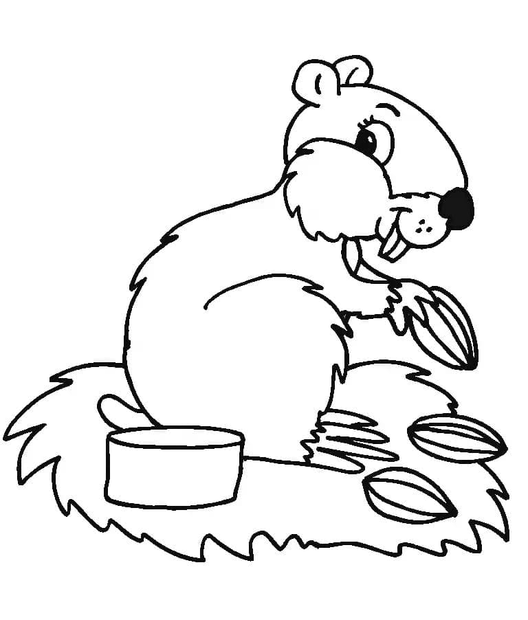 Free printable Hamster coloring page #188846 from Animals collection