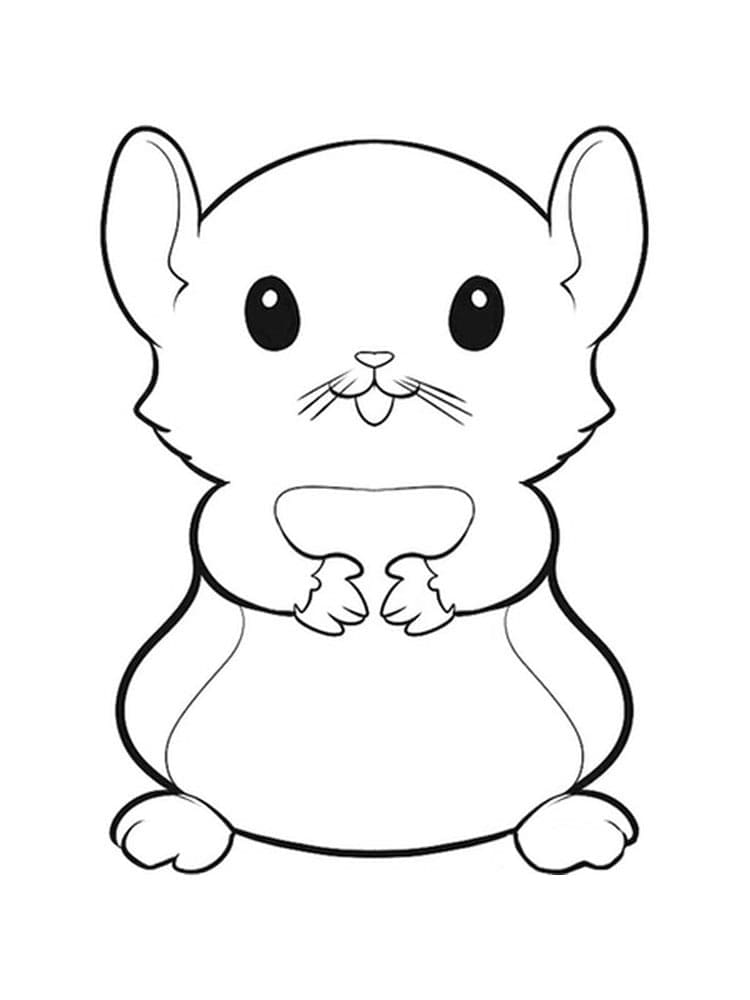 Free printable Hamster coloring page #188847 from Animals collection