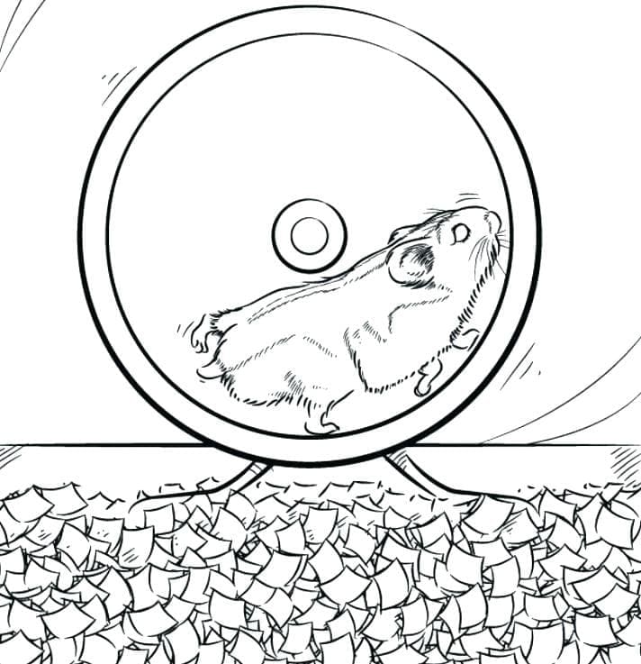 Free printable Hamster coloring page #188853 from Animals collection