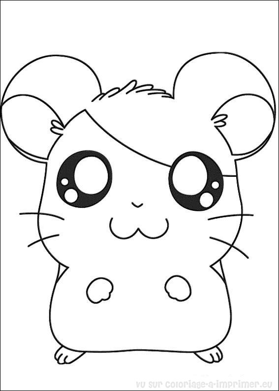  Dibujos Hamster (Animales) – Dibujos para imprimir y colorear