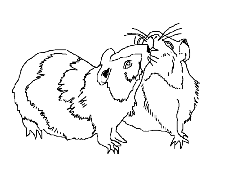 Coloring page: Hamster (Animals) #8023 - Free Printable Coloring Pages