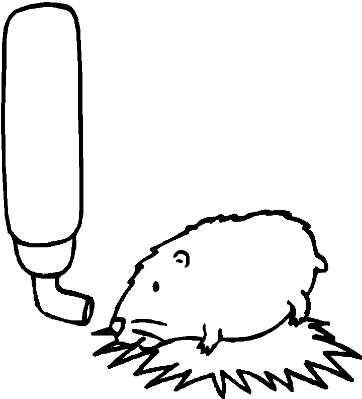 Coloring page: Hamster (Animals) #8049 - Free Printable Coloring Pages