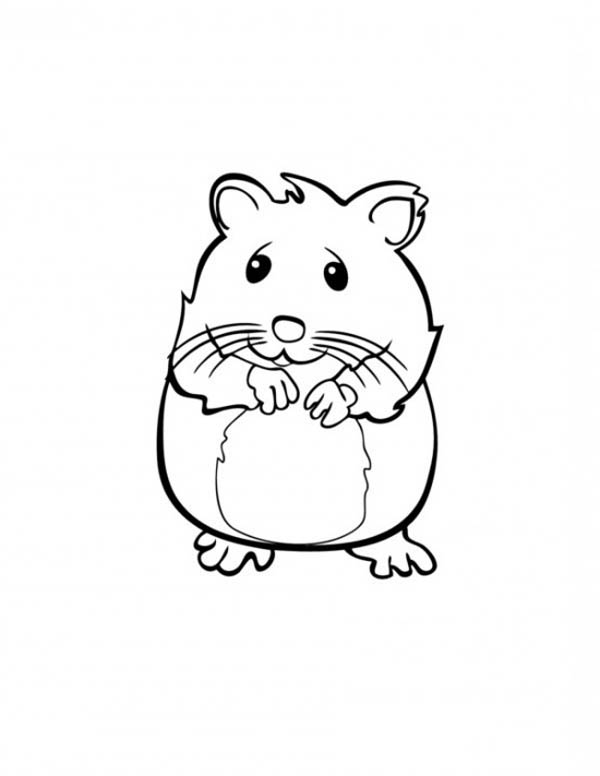 Coloring page: Hamster (Animals) #8052 - Free Printable Coloring Pages