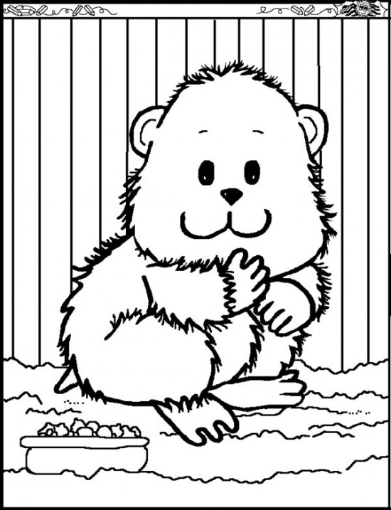 Coloring page: Hamster (Animals) #8059 - Free Printable Coloring Pages