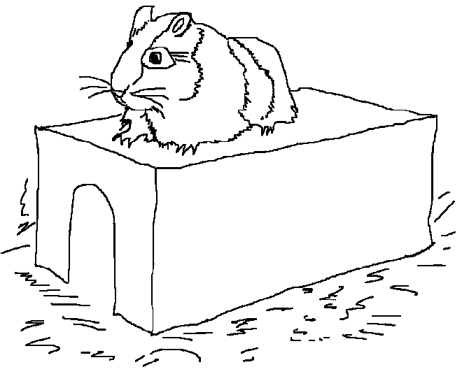 Coloring page: Hamster (Animals) #8066 - Free Printable Coloring Pages