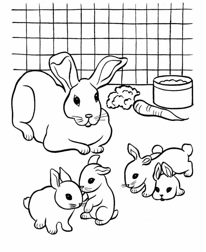 Coloring page: Hamster (Animals) #8072 - Free Printable Coloring Pages