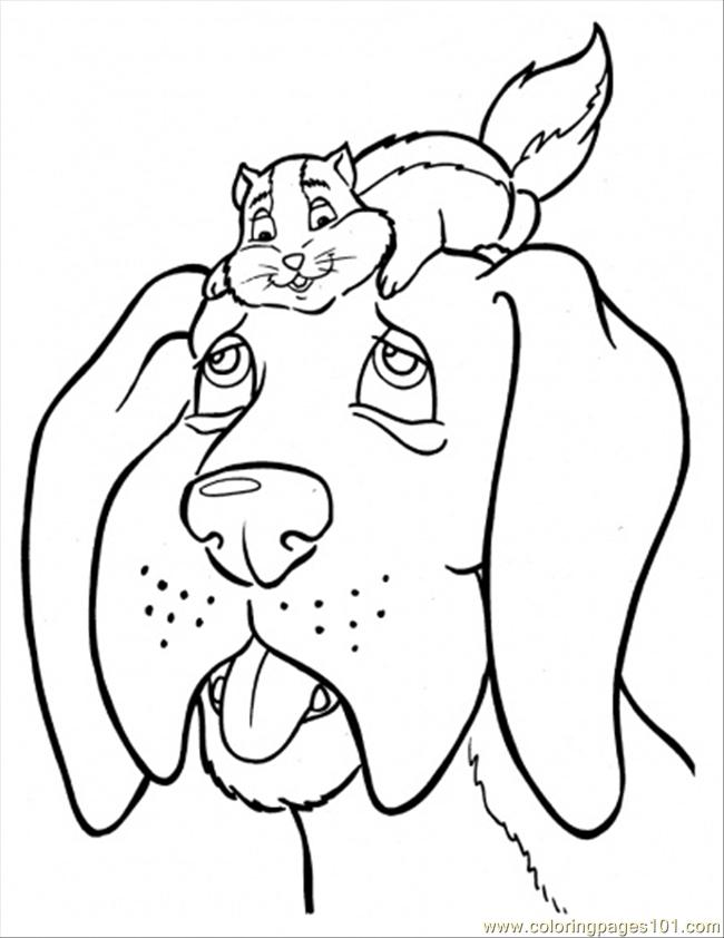 Coloring page: Hamster (Animals) #8087 - Free Printable Coloring Pages