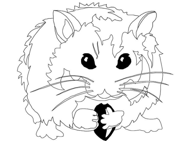 Coloring page: Hamster (Animals) #8098 - Free Printable Coloring Pages