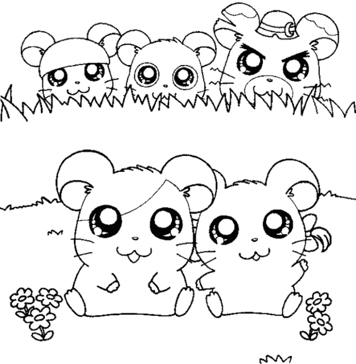 Coloring page: Hamster (Animals) #8108 - Free Printable Coloring Pages