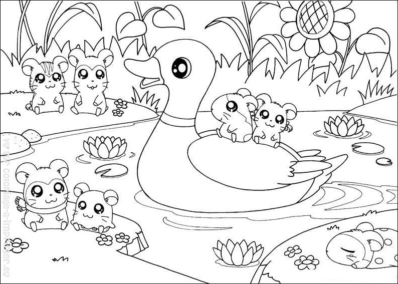 Coloring page: Hamster (Animals) #8109 - Free Printable Coloring Pages