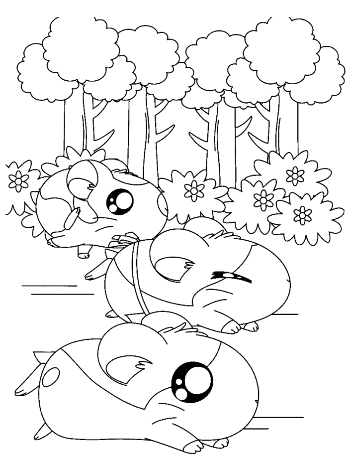 Coloring page: Hamster (Animals) #8110 - Free Printable Coloring Pages