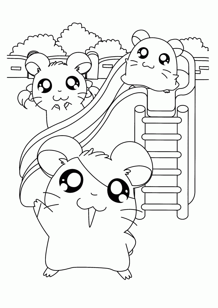 Coloring page: Hamster (Animals) #8115 - Free Printable Coloring Pages
