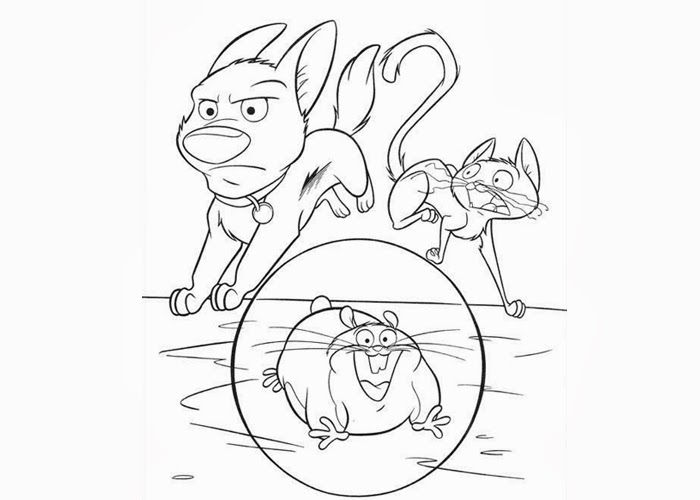 Coloring page: Hamster (Animals) #8151 - Free Printable Coloring Pages