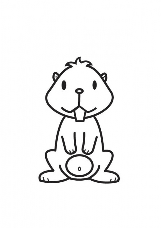 Coloring page: Hamster (Animals) #8156 - Free Printable Coloring Pages