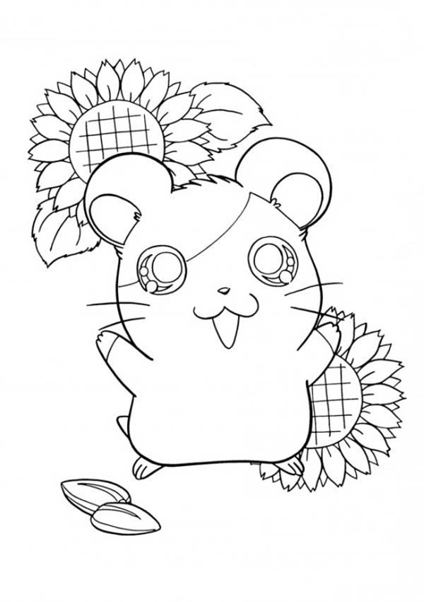 Coloring page: Hamster (Animals) #8175 - Free Printable Coloring Pages