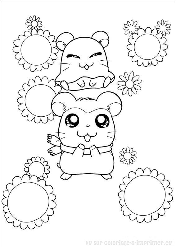 Coloring page: Hamster (Animals) #8179 - Free Printable Coloring Pages