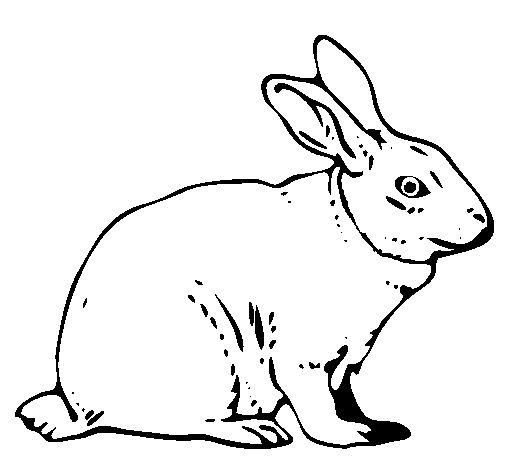 Coloring page: Hare (Animals) #10077 - Free Printable Coloring Pages
