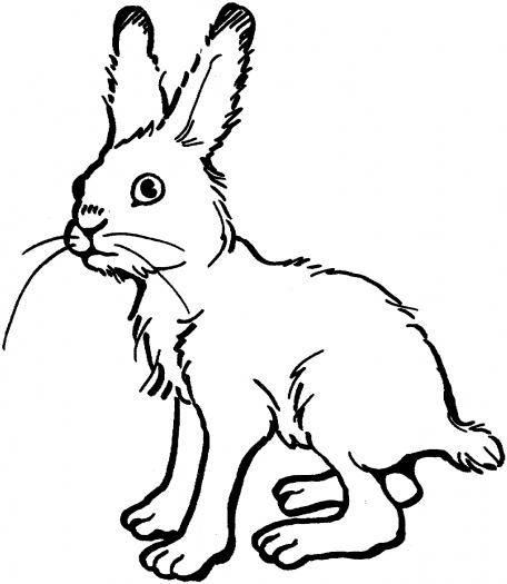 Coloring page: Hare (Animals) #10098 - Free Printable Coloring Pages