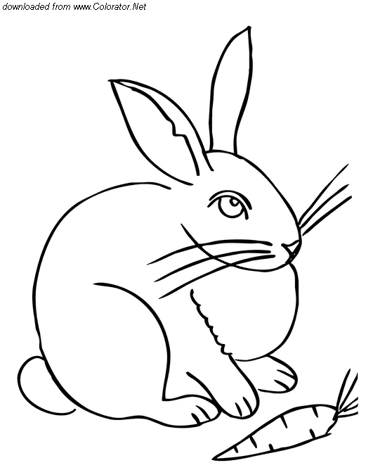 Coloring page: Hare (Animals) #10124 - Free Printable Coloring Pages