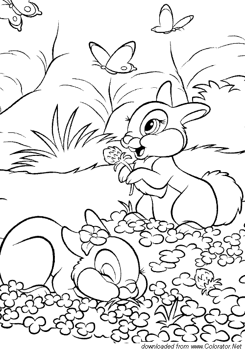Coloring page: Hare (Animals) #10125 - Free Printable Coloring Pages