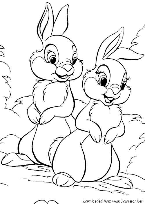 Coloring page: Hare (Animals) #10129 - Free Printable Coloring Pages