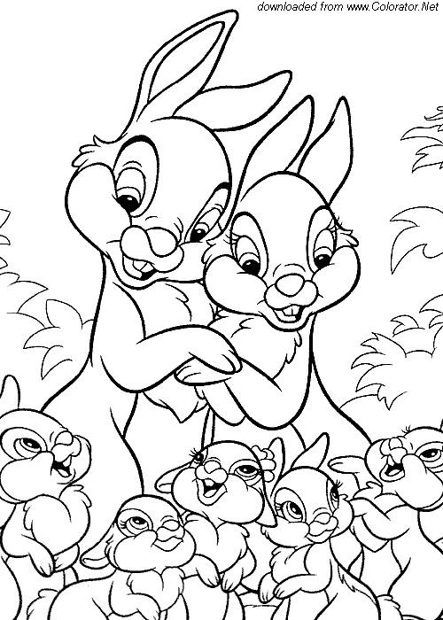 Coloring page: Hare (Animals) #10132 - Free Printable Coloring Pages