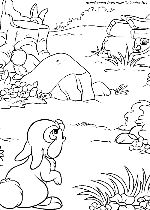 Coloring page: Hare (Animals) #10133 - Free Printable Coloring Pages