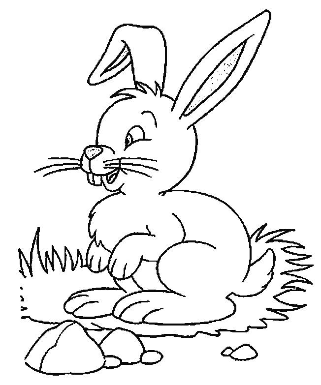 Coloring page: Hare (Animals) #10224 - Free Printable Coloring Pages