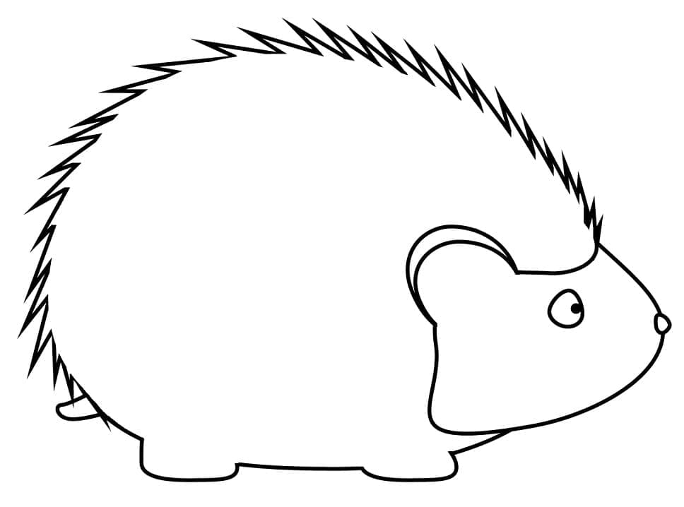 Free printable Hedgehog coloring page #190616 from Animals collection