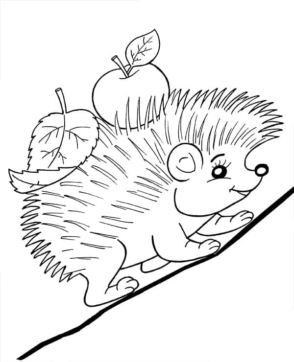 Free printable Hedgehog coloring page #190623 from Animals collection