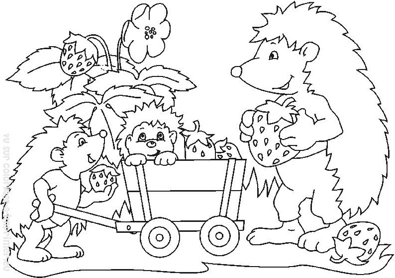 Coloring page: Hedgehog (Animals) #8221 - Free Printable Coloring Pages