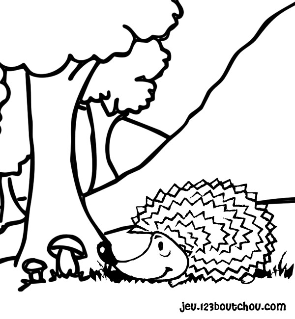 Coloring page: Hedgehog (Animals) #8225 - Free Printable Coloring Pages