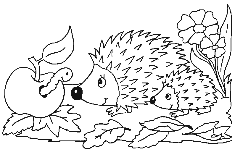 Coloring page: Hedgehog (Animals) #8227 - Free Printable Coloring Pages