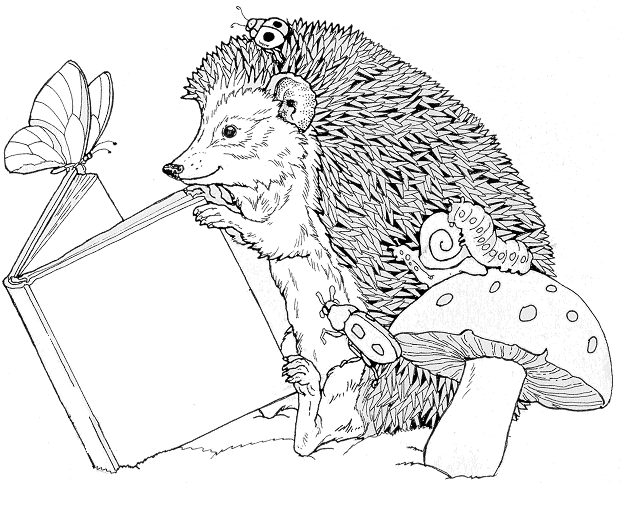 Coloring page: Hedgehog (Animals) #8228 - Free Printable Coloring Pages