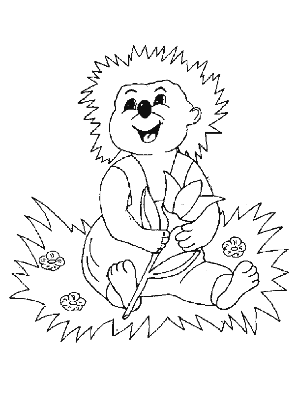 Coloring page: Hedgehog (Animals) #8247 - Free Printable Coloring Pages