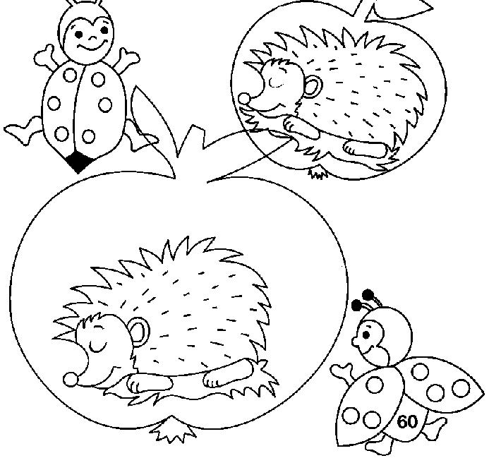 Coloring page: Hedgehog (Animals) #8258 - Free Printable Coloring Pages
