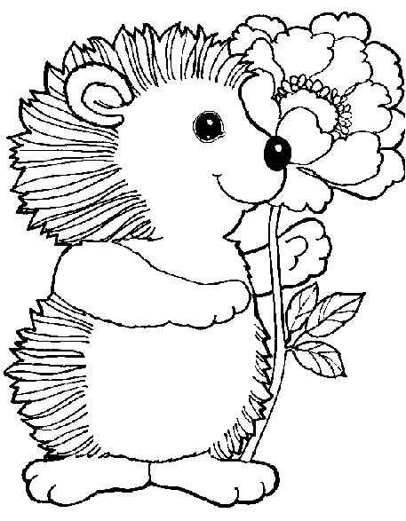 Coloring page: Hedgehog (Animals) #8279 - Free Printable Coloring Pages
