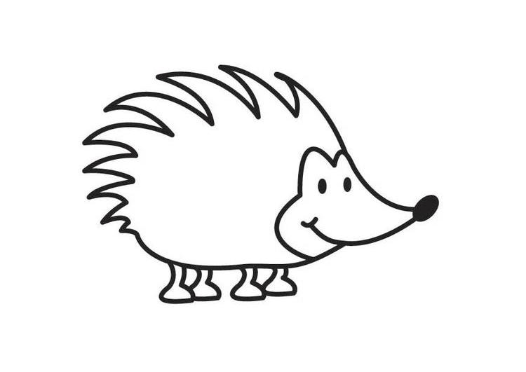 Coloring page: Hedgehog (Animals) #8299 - Free Printable Coloring Pages