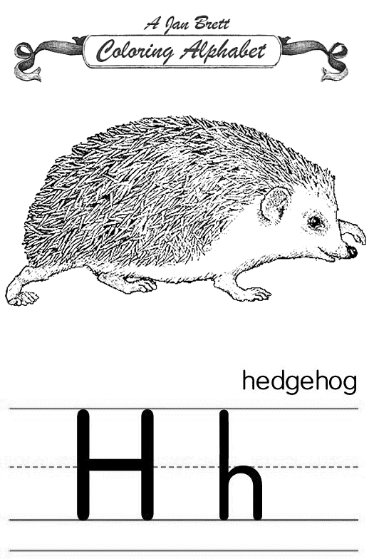 Coloring page: Hedgehog (Animals) #8310 - Free Printable Coloring Pages