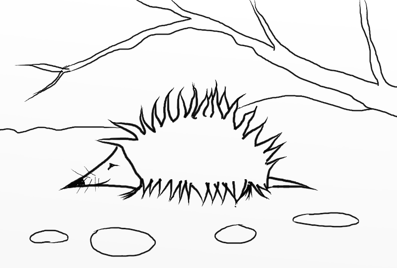Coloring page: Hedgehog (Animals) #8324 - Free Printable Coloring Pages