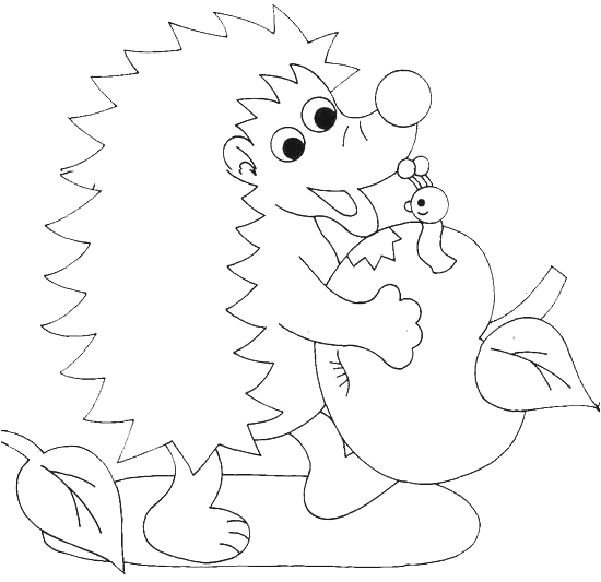 Coloring page: Hedgehog (Animals) #8393 - Free Printable Coloring Pages