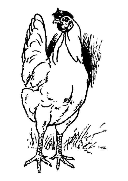 Coloring page: Hen (Animals) #17460 - Free Printable Coloring Pages